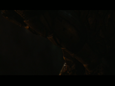 PREDATORS5B2020-07-14_18-44-08_7835D.jpg