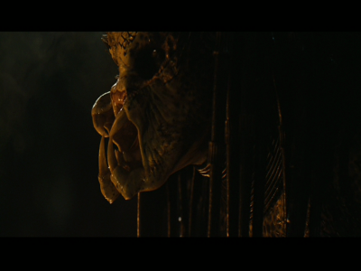 PREDATORS5B2020-07-14_18-44-53_5685D.jpg